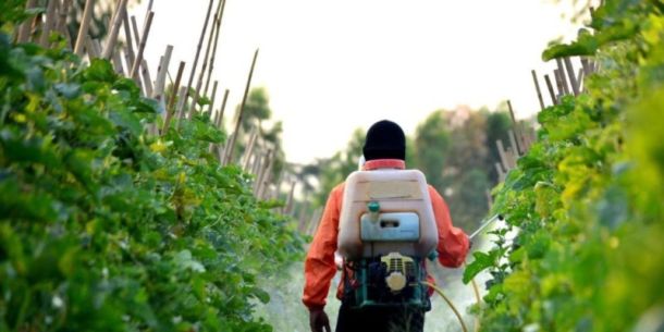 Monitoreo del níquel en los alimentos