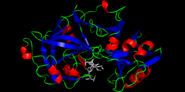 Digestibilidad en Pepsina: qué es, características y funciones.