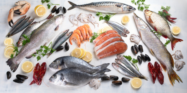 La verificación de la autenticidad en el pescado