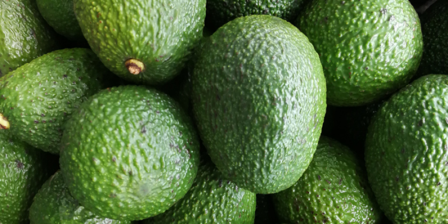 Análisis de plaguicidas en aguacate de exportación (Persea americana)