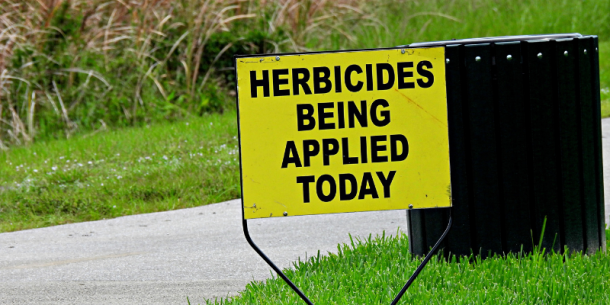 Herbicida haloxyfop en la mira para Agosto 2024