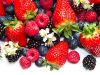 Norovirus en Berries