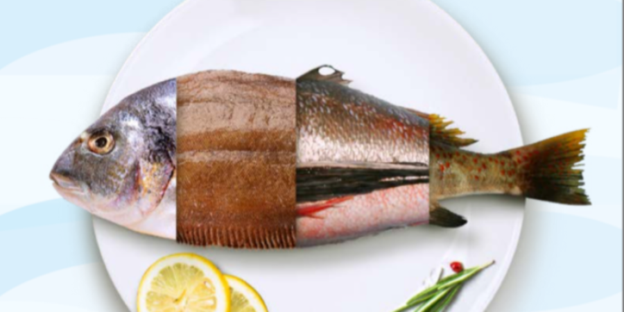 Fraude alimentario: ¿qué es? Y el caso de los pescados en Perú.