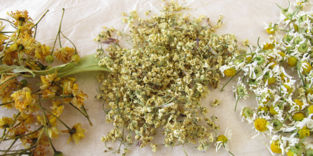 Análisis de laboratorio de alcaloides de pirrolizidina y tropano