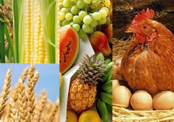 Protección de alimentos contra adulteraciones intencionales