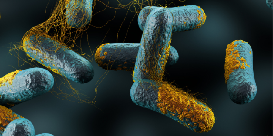 Clostridium botulinum