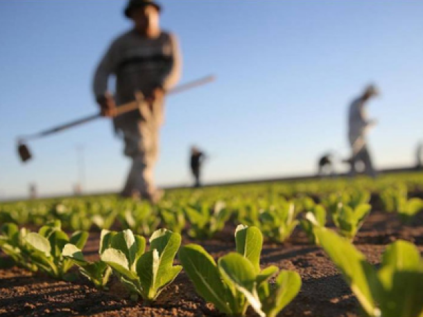 Ética de la fertilización de productos orgánicos