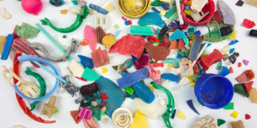 Micro plásticos y nano plásticos en la cadena alimentaria