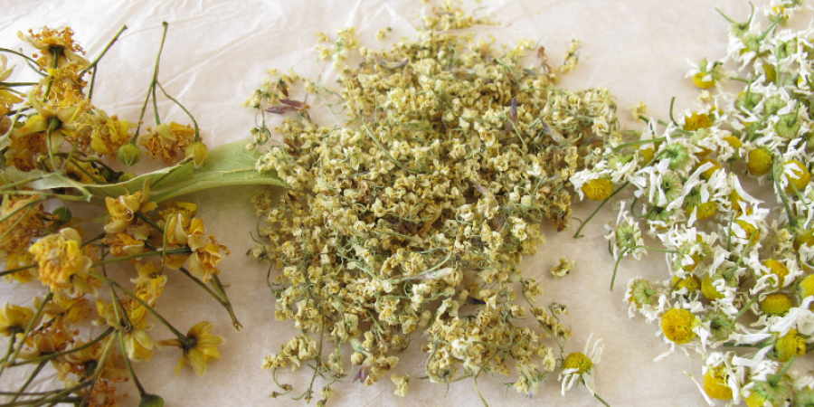 Análisis de laboratorio de alcaloides de pirrolizidina y tropano