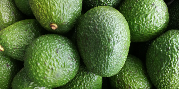 Análisis de plaguicidas en aguacate de exportación (Persea americana)