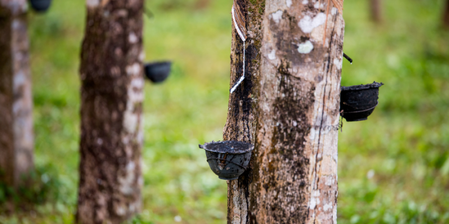 Análisis DRC en Hule