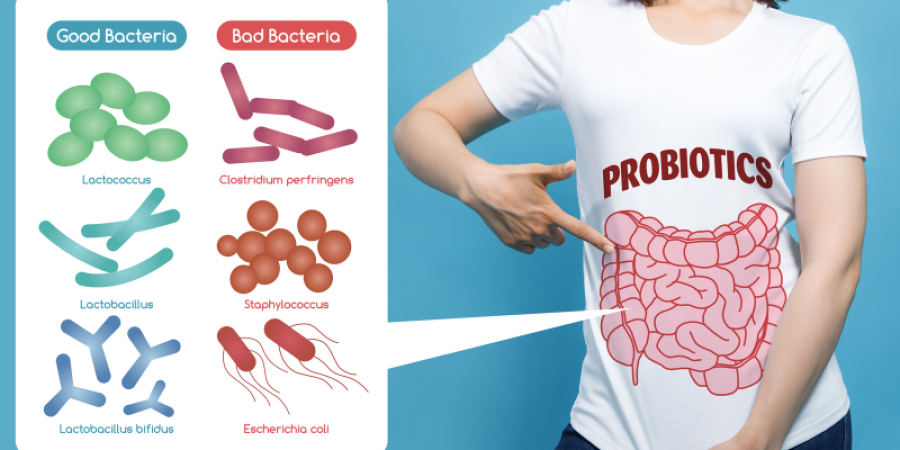Los probióticos y su influencia en la salud humana
