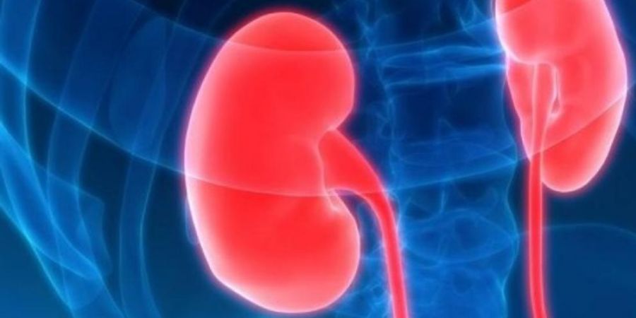 Síndrome nefrótico, importancia de la dieta “Baja en sodio”.