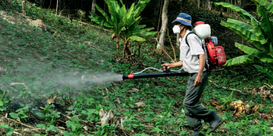 Importancia y control de los plaguicidas en la agricultura.