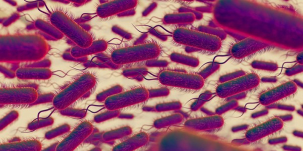 Endotoxinas en suero bovino: Regulaciones y detección