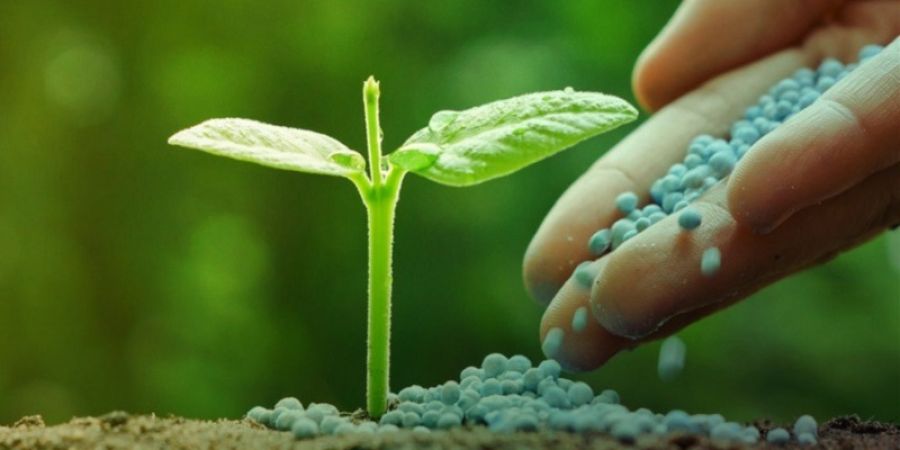 Análisis de pesticidas en suelos