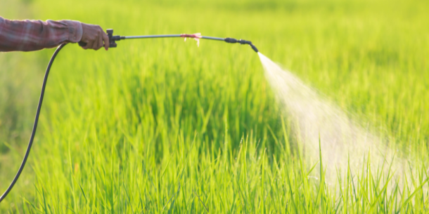 Riesgos Ambientales y Sanitarios de los Plaguicidas