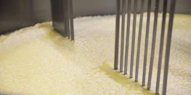 Definición y composición del lactosuero