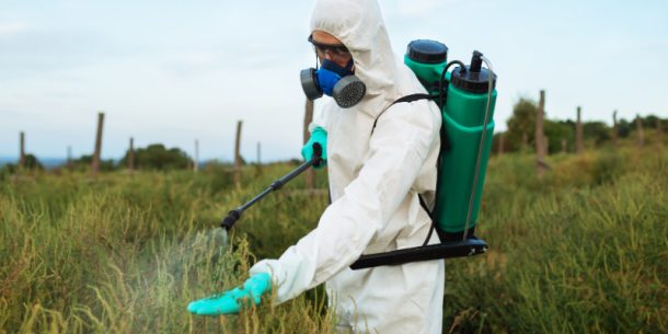 ¿Qué es el clorpirifos y porqué se prohibió en Europa?