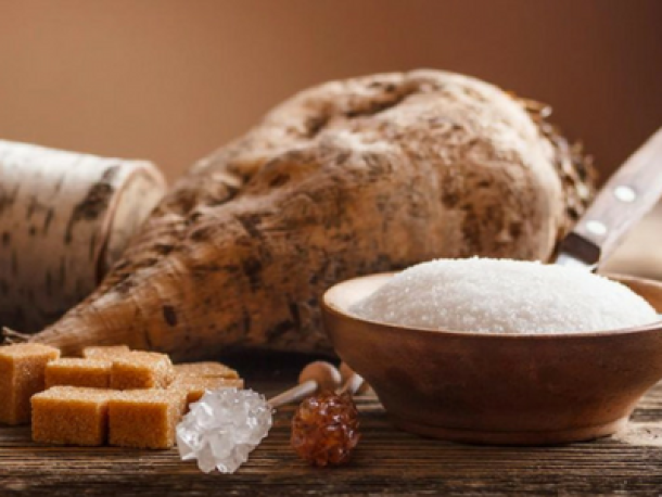 ¿La remolacha azucarera es una opción de sostenibilidad?