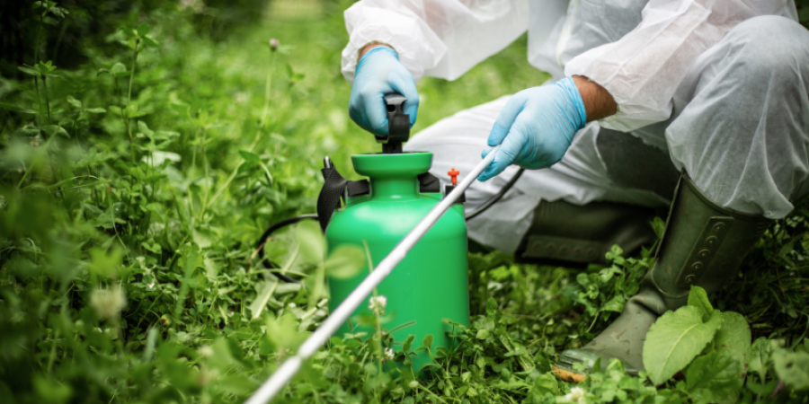 Límite máximo de plaguicidas codex