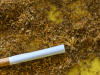 Análisis para asegurar la calidad del tabaco