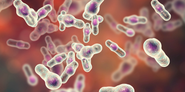 Trastornos que causa la bacteria Clostridium Perfringens y donde se puede contraer… ¡Infórmate!