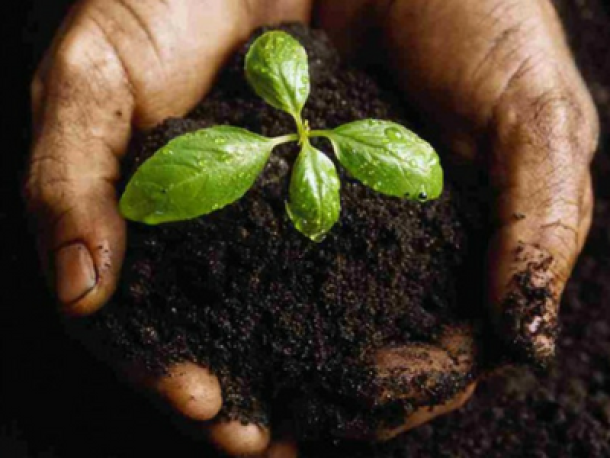 La Importancia de los Suelos en las Actividades Productivas