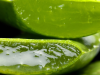 Importancia del análisis de aloína en aloe vera y productos derivados