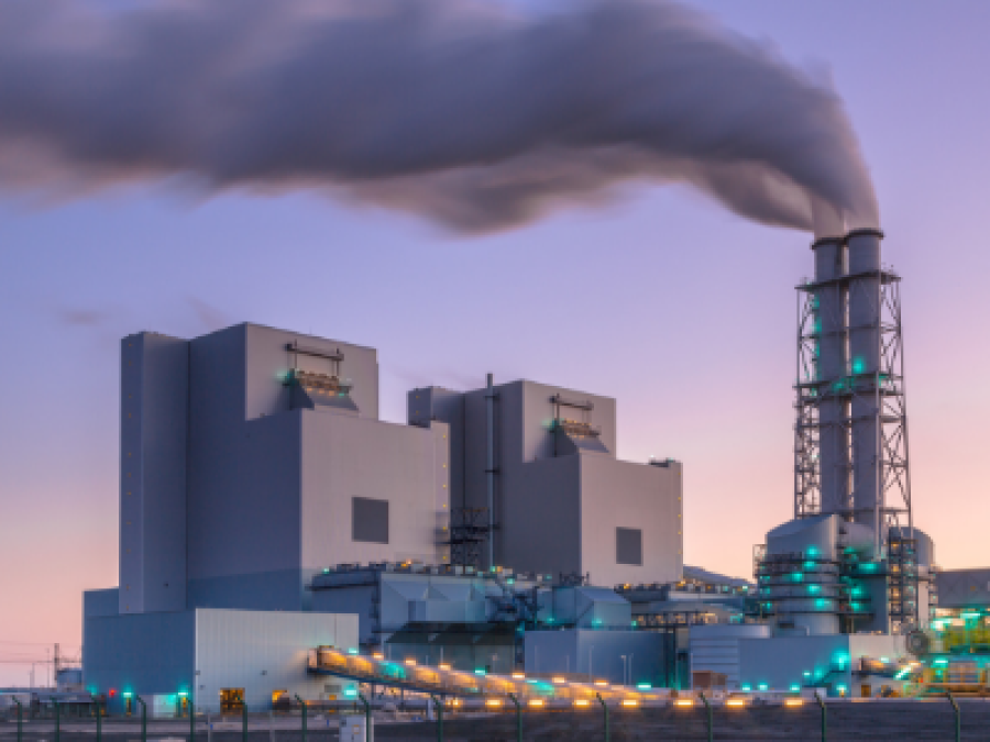 Dioxinas y sus Efectos en el Medio Ambiente y la Salud Humana