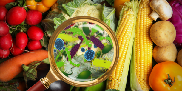 Microbiología de los alimentos