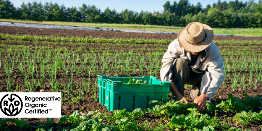 Certificación ROC: Certificación Orgánica Regenerativa